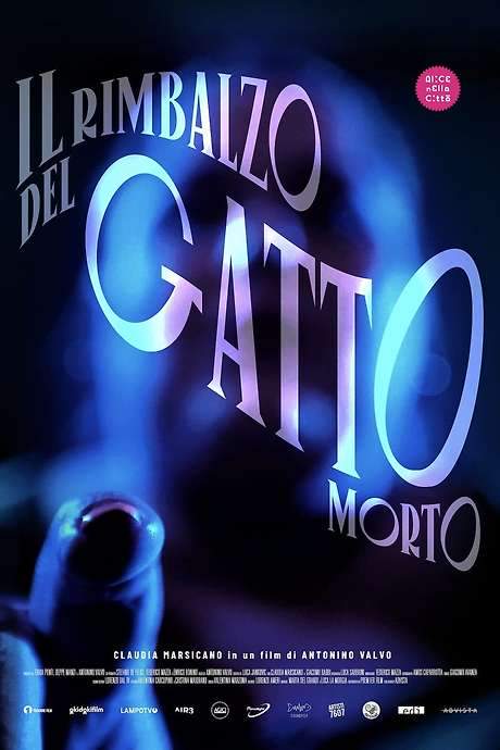 Il rimbalzo del gatto morto